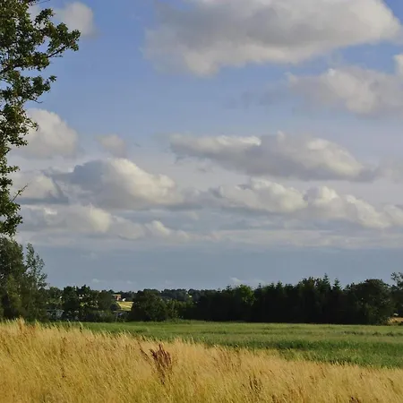 4 Star In Σπίτι διακοπών Hejls