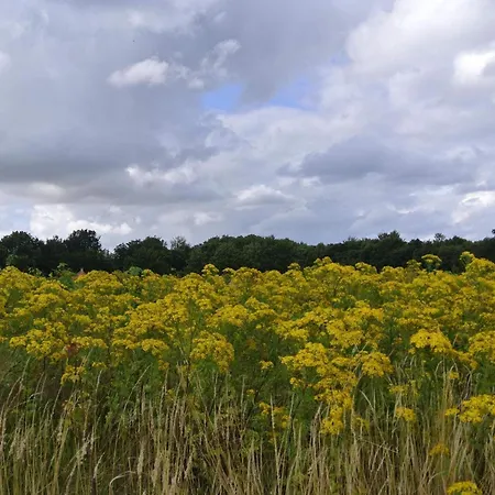 4 Star In Hébergement de vacances