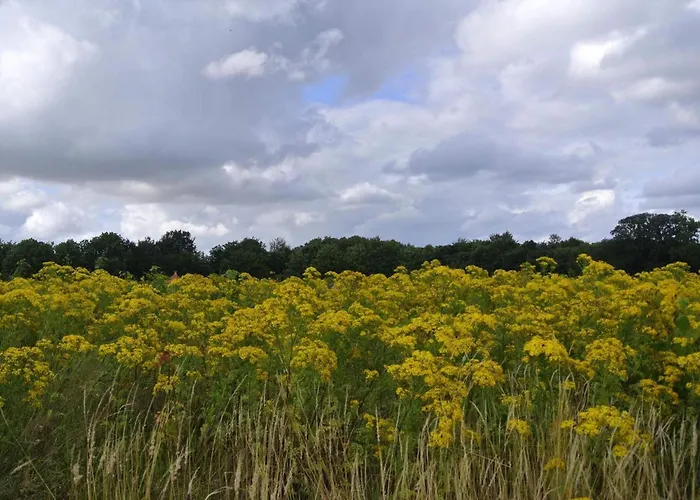 4 Star In Σπίτι διακοπών